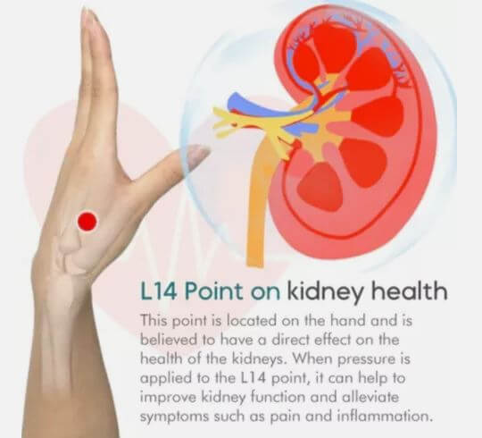 Sugar Control LI4 Acupressure Point Clip (Backed by Science!) – Balance Your Sugar Naturally!